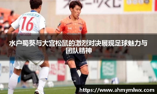 星空综合体育平台