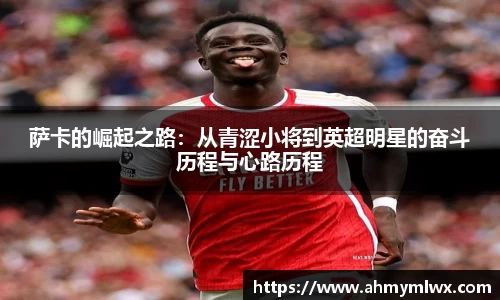 星空综合体育官网