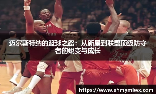 星空综合体育平台