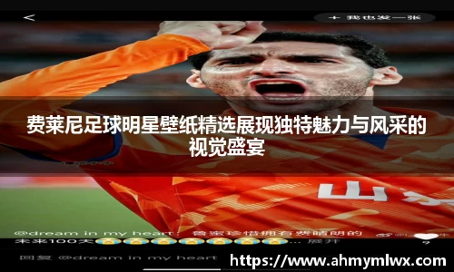 费莱尼足球明星壁纸精选展现独特魅力与风采的视觉盛宴